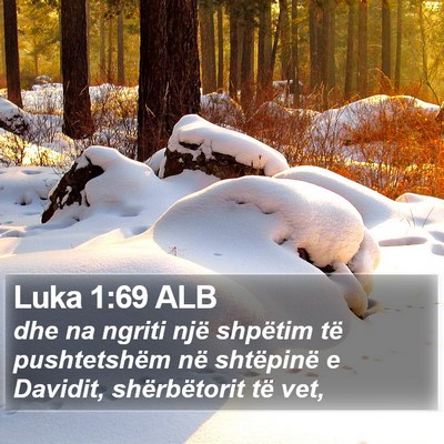 Luka 1:69 ALB Bible Verse Image