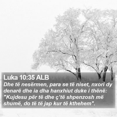 Luka 10:35 ALB Bible Verse Image