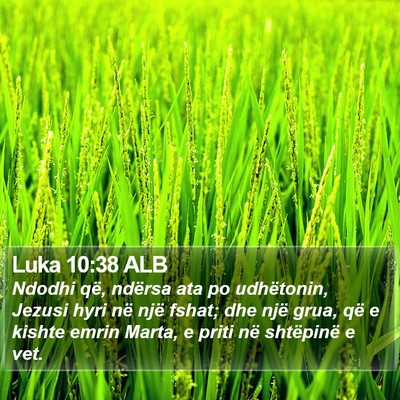 Luka 10:38 ALB Bible Verse Image
