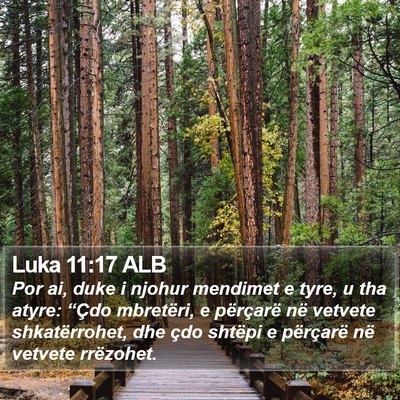 Luka 11:17 ALB Bible Verse Image