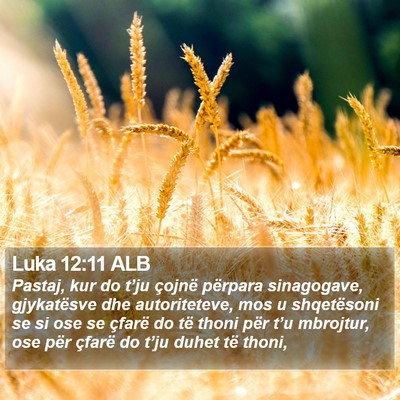 Luka 12:11 ALB Bible Verse Image