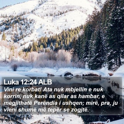 Luka 12:24 ALB Bible Verse Image