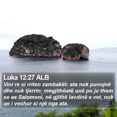 Luka 12:27 ALB Bible Verse Image