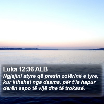 Luka 12:36 ALB Bible Verse Image