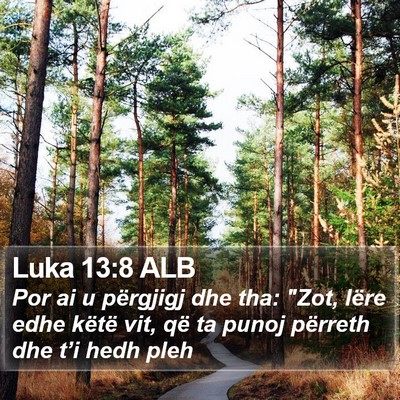 Luka 13:8 ALB Bible Verse Image