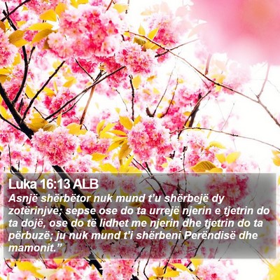 Luka 16:13 ALB Bible Verse Image
