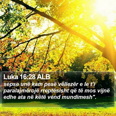 Luka 16:28 ALB Bible Verse Image
