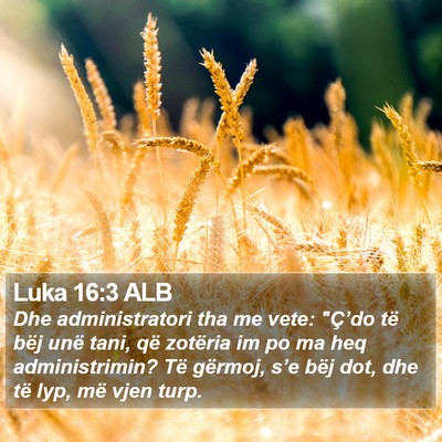 Luka 16:3 ALB Bible Verse Image