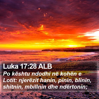 Luka 17:28 ALB Bible Verse Image