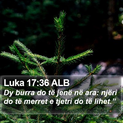 Luka 17:36 ALB Bible Verse Image