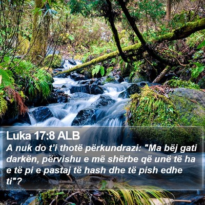 Luka 17:8 ALB Bible Verse Image