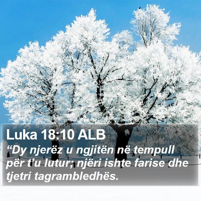 Luka 18:10 ALB Bible Verse Image
