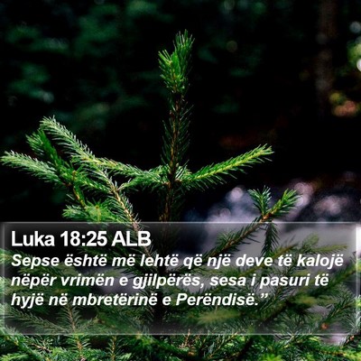 Luka 18:25 ALB Bible Verse Image