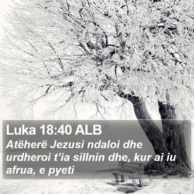 Luka 18:40 ALB Bible Verse Image