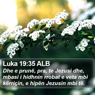 Luka 19:35 ALB Bible Verse Image