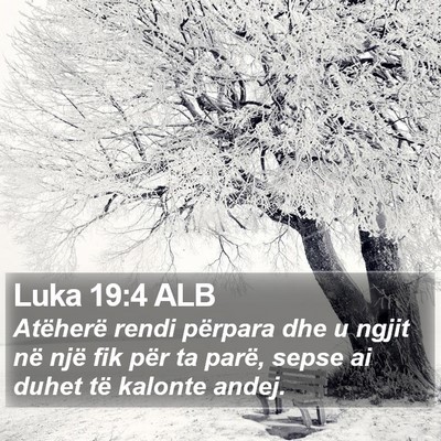 Luka 19:4 ALB Bible Verse Image