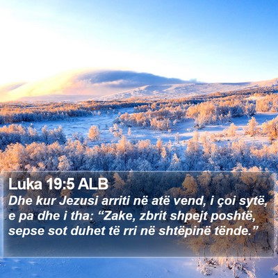 Luka 19:5 ALB Bible Verse Image