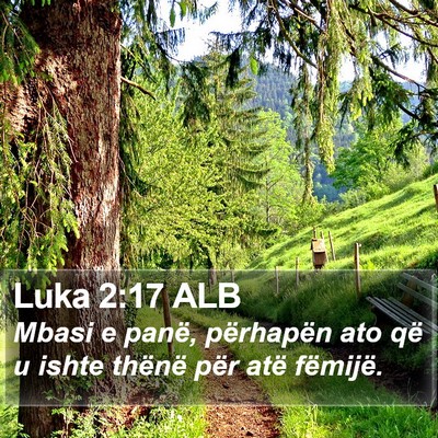 Luka 2:17 ALB Bible Verse Image