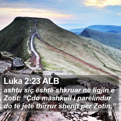 Luka 2:23 ALB Bible Verse Image