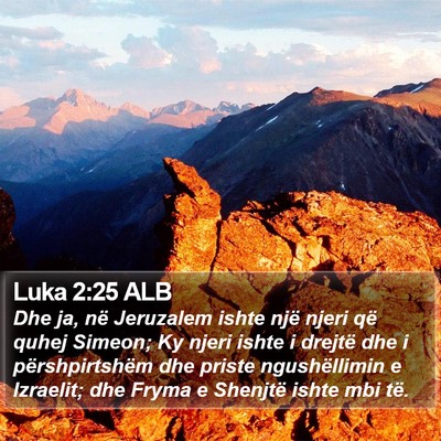 Luka 2:25 ALB Bible Verse Image