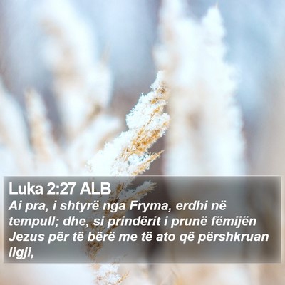 Luka 2:27 ALB Bible Verse Image