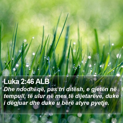Luka 2:46 ALB Bible Verse Image