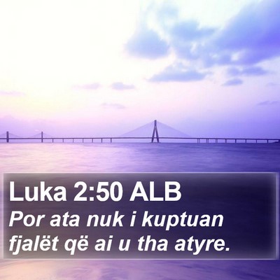 Luka 2:50 ALB Bible Verse Image