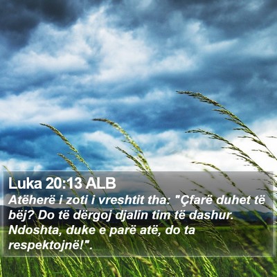 Luka 20:13 ALB Bible Verse Image