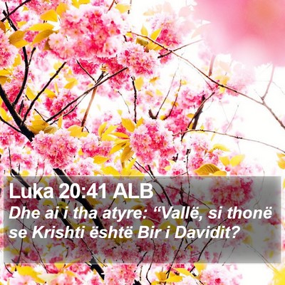 Luka 20:41 ALB Bible Verse Image
