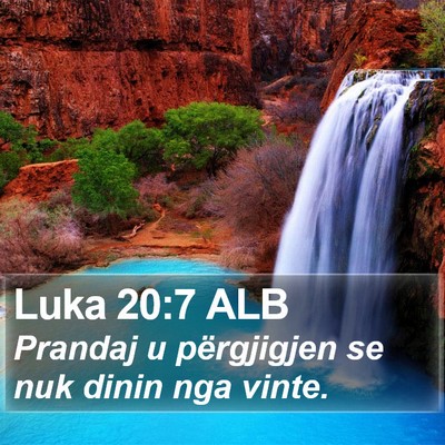 Luka 20:7 ALB Bible Verse Image