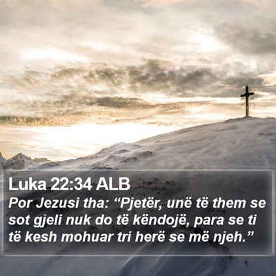 Luka 22:34 ALB Bible Verse Image