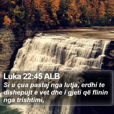 Luka 22:45 ALB Bible Verse Image