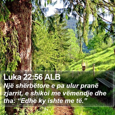Luka 22:56 ALB Bible Verse Image