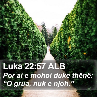 Luka 22:57 ALB Bible Verse Image