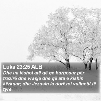 Luka 23:25 ALB Bible Verse Image