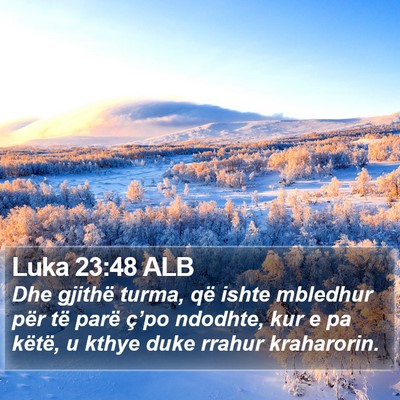Luka 23:48 ALB Bible Verse Image