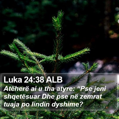Luka 24:38 ALB Bible Verse Image