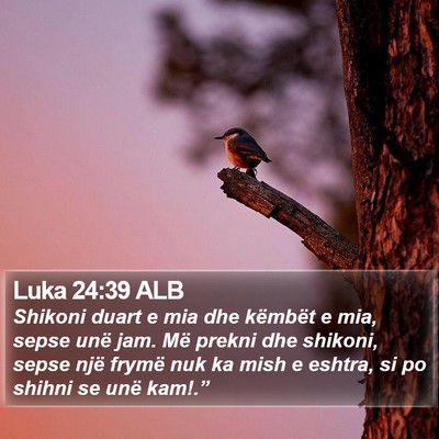 Luka 24:39 ALB Bible Verse Image