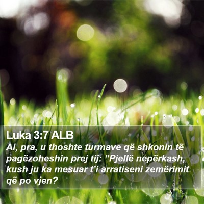Luka 3:7 ALB Bible Verse Image