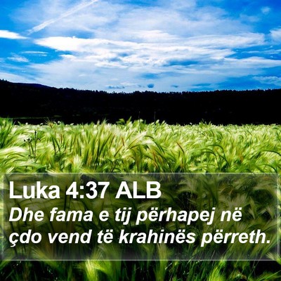 Luka 4:37 ALB Bible Verse Image