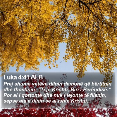 Luka 4:41 ALB Bible Verse Image