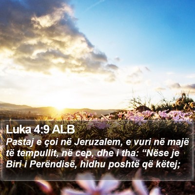Luka 4:9 ALB Bible Verse Image