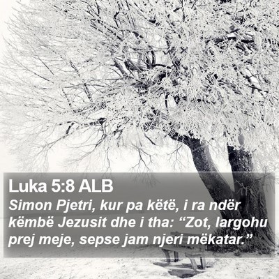 Luka 5:8 ALB Bible Verse Image