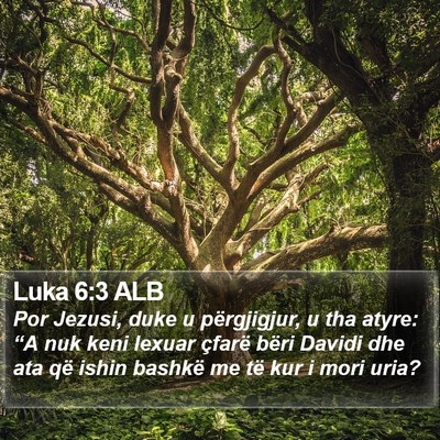 Luka 6:3 ALB Bible Verse Image
