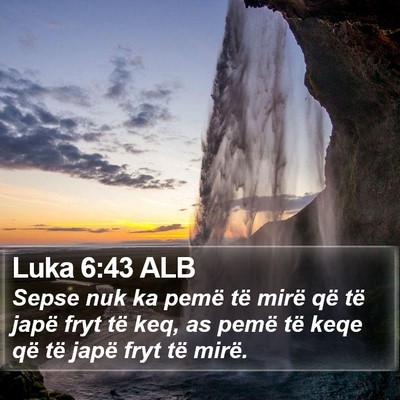 Luka 6:43 ALB Bible Verse Image