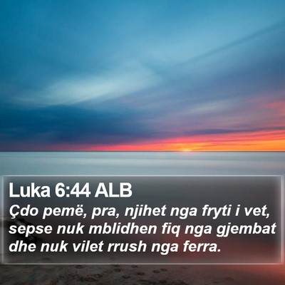 Luka 6:44 ALB Bible Verse Image