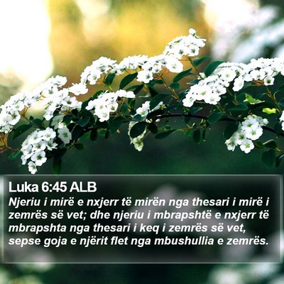 Luka 6:45 ALB Bible Verse Image