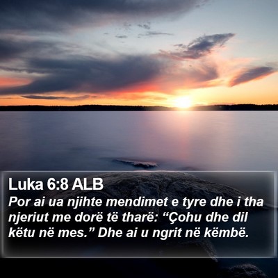 Luka 6:8 ALB Bible Verse Image