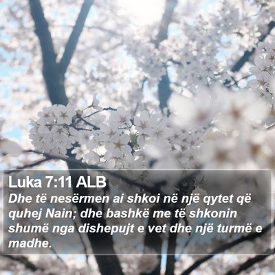 Luka 7:11 ALB Bible Verse Image
