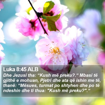 Luka 8:45 ALB Bible Verse Image